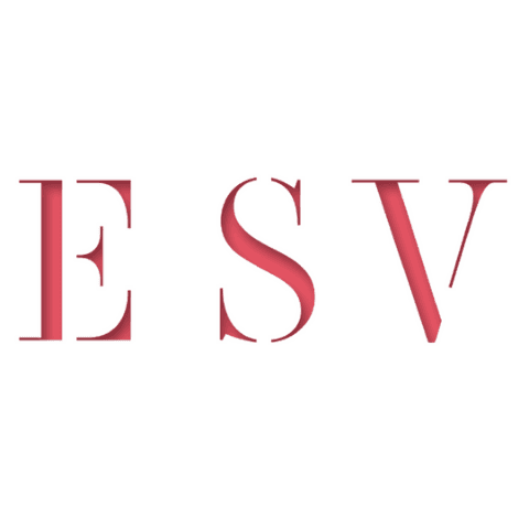ESV Business Advice and Accounting