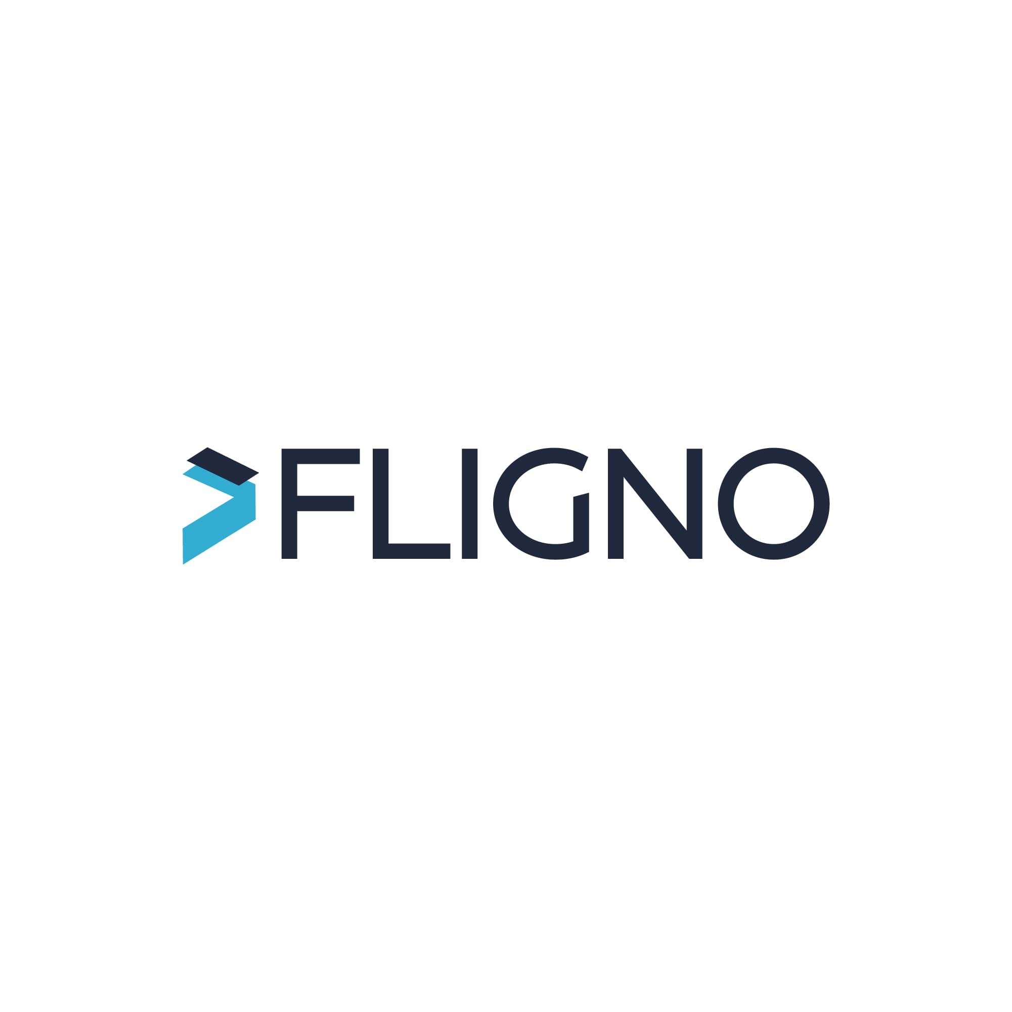 Fligno Software Philippines