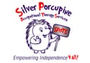 Silver Porcupine Occupational Therapy Services