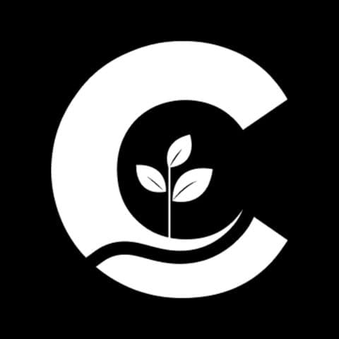 Cyan Ventures