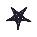 Starfish Kids Talent Agency
